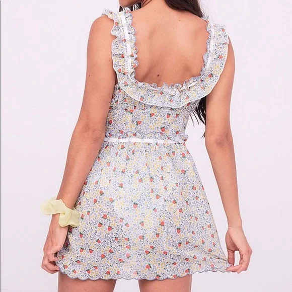 FOR LOVE & LEMONS Strawberry Kiss Dress - Picture 14 of 16